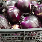 Agrisole Farma