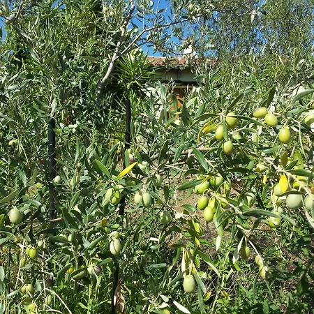 Alloggio per agriturismo Agrisole *