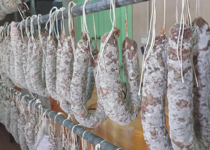 Farm stay Agrisole Olbia