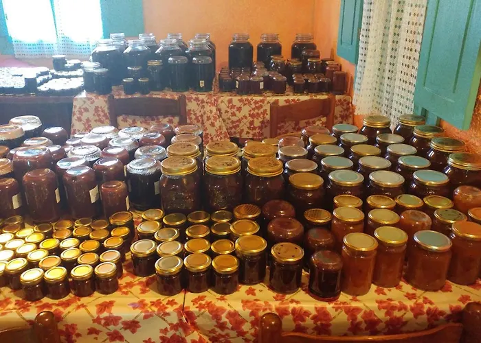 Farm stay Agrisole *