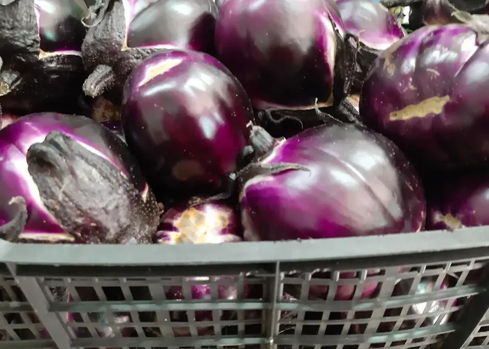 Agrisole בית חווה